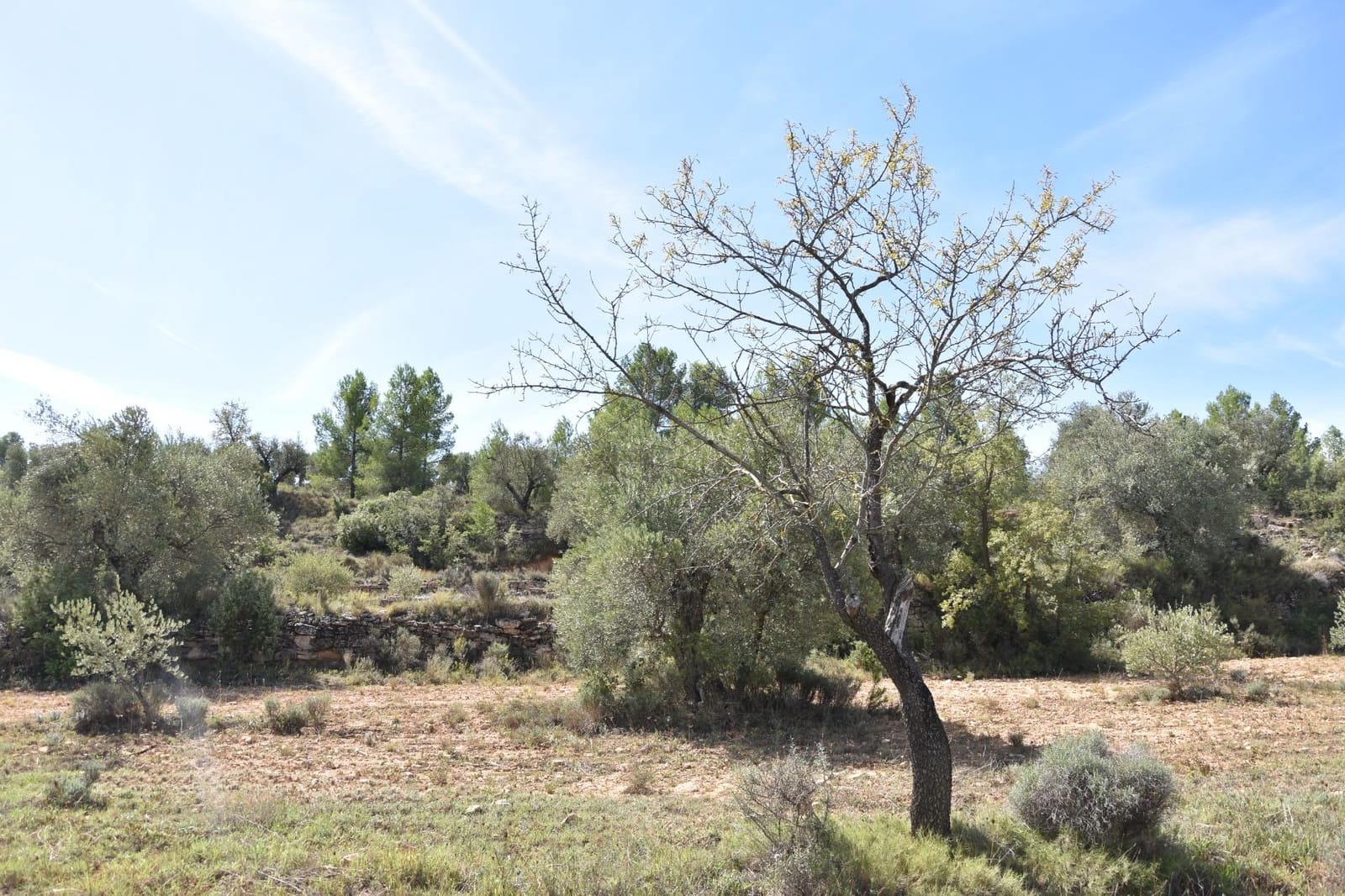 1 soveværelse Finca/Landehus til salg i La Fresneda - € 15.000 (Ref: 9150256)