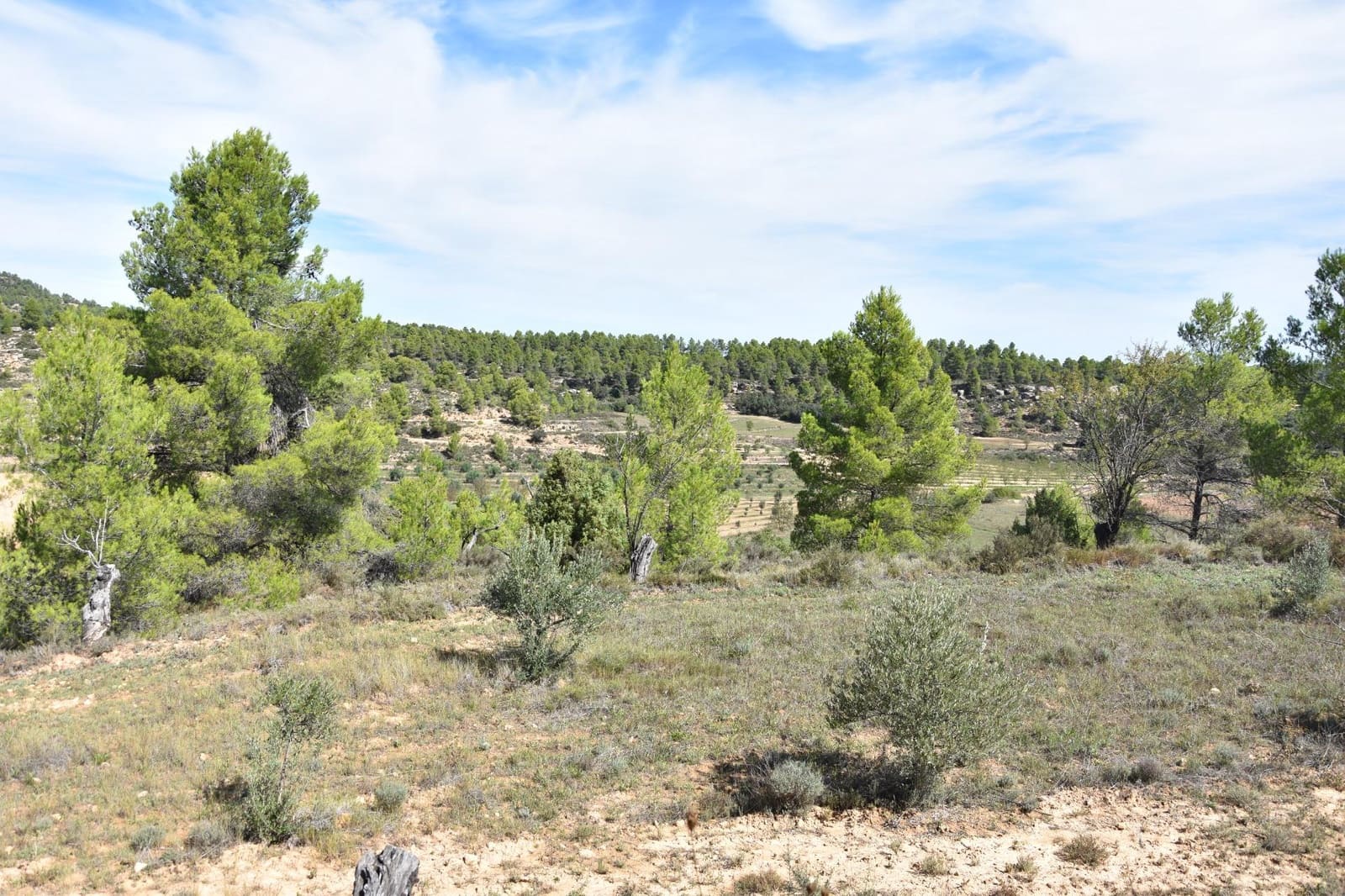 1 soveværelse Finca/Landehus til salg i La Fresneda - € 15.000 (Ref: 9150256)