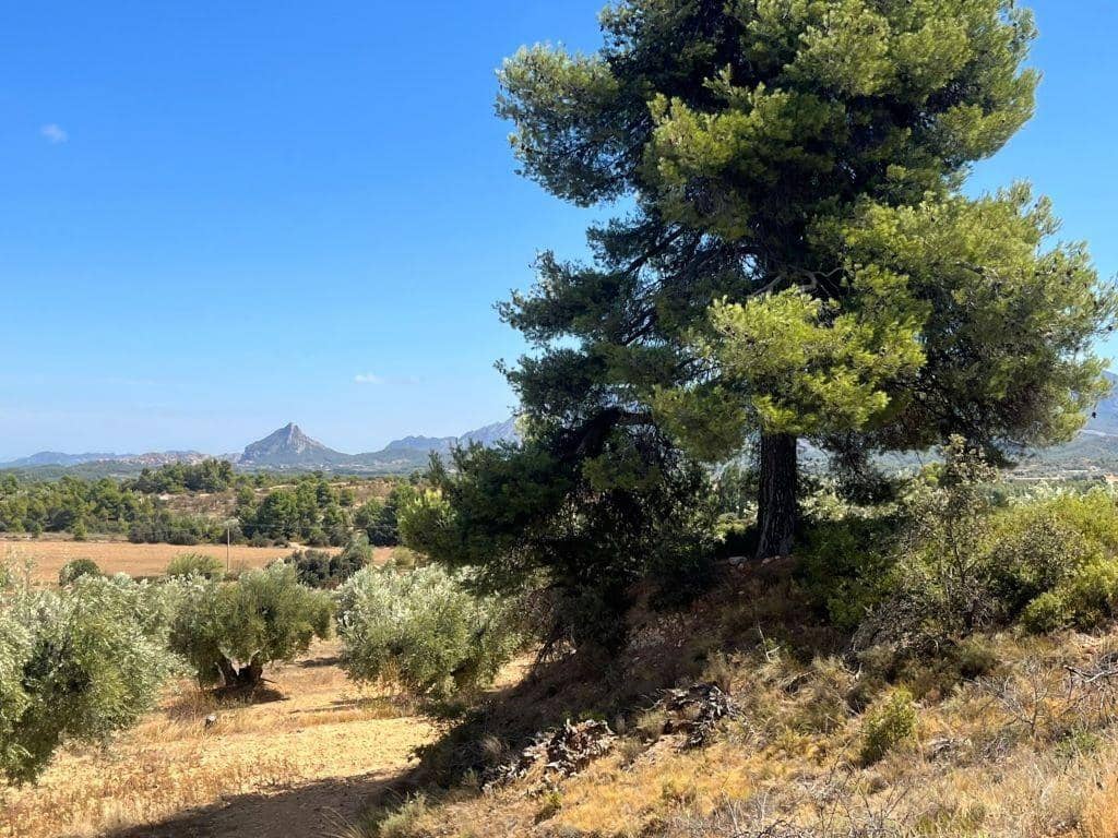 Finca/Herregård til salgs i Cretas - € 28 000 (Ref: 9150258)