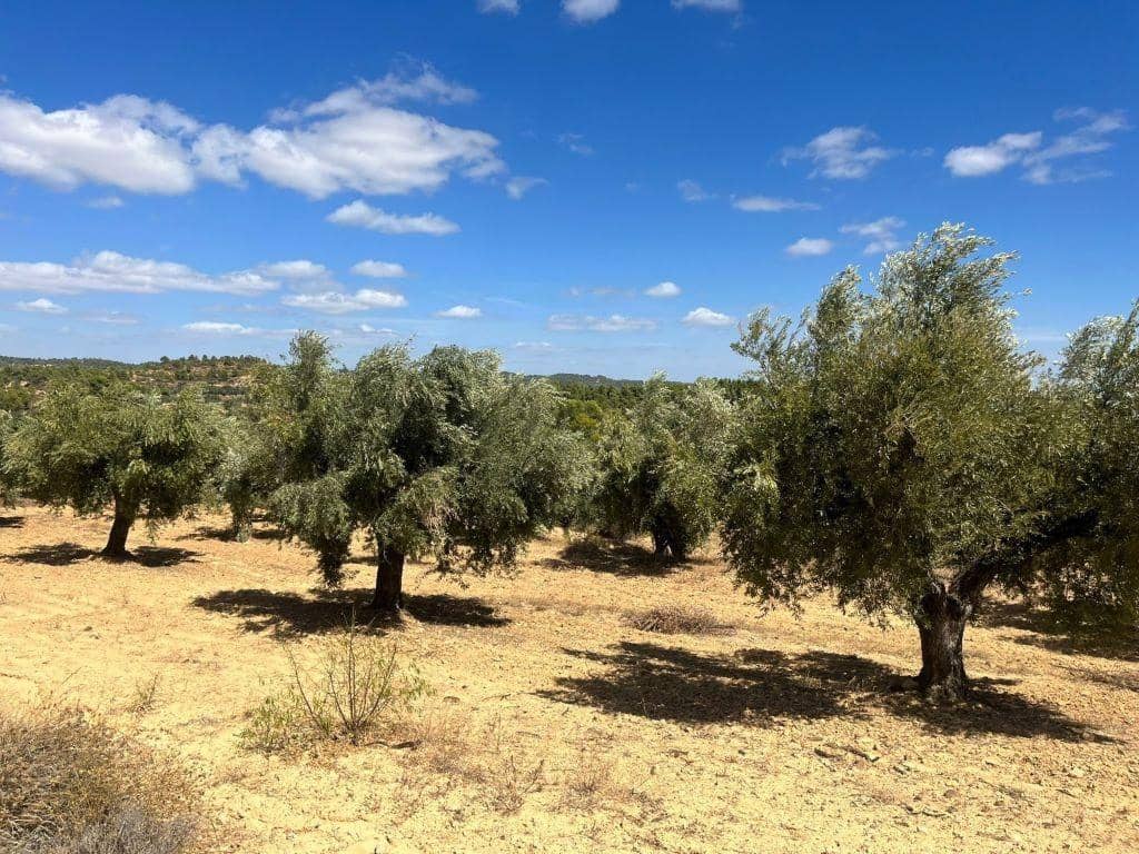 Finca/Herregård til salgs i Cretas - € 28 000 (Ref: 9150258)