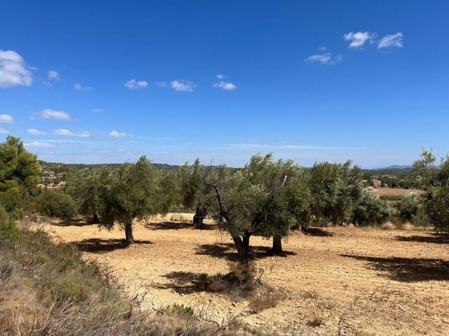 Finca/Landehus til salg i Cretas - € 28.000 (Ref: 9150258)