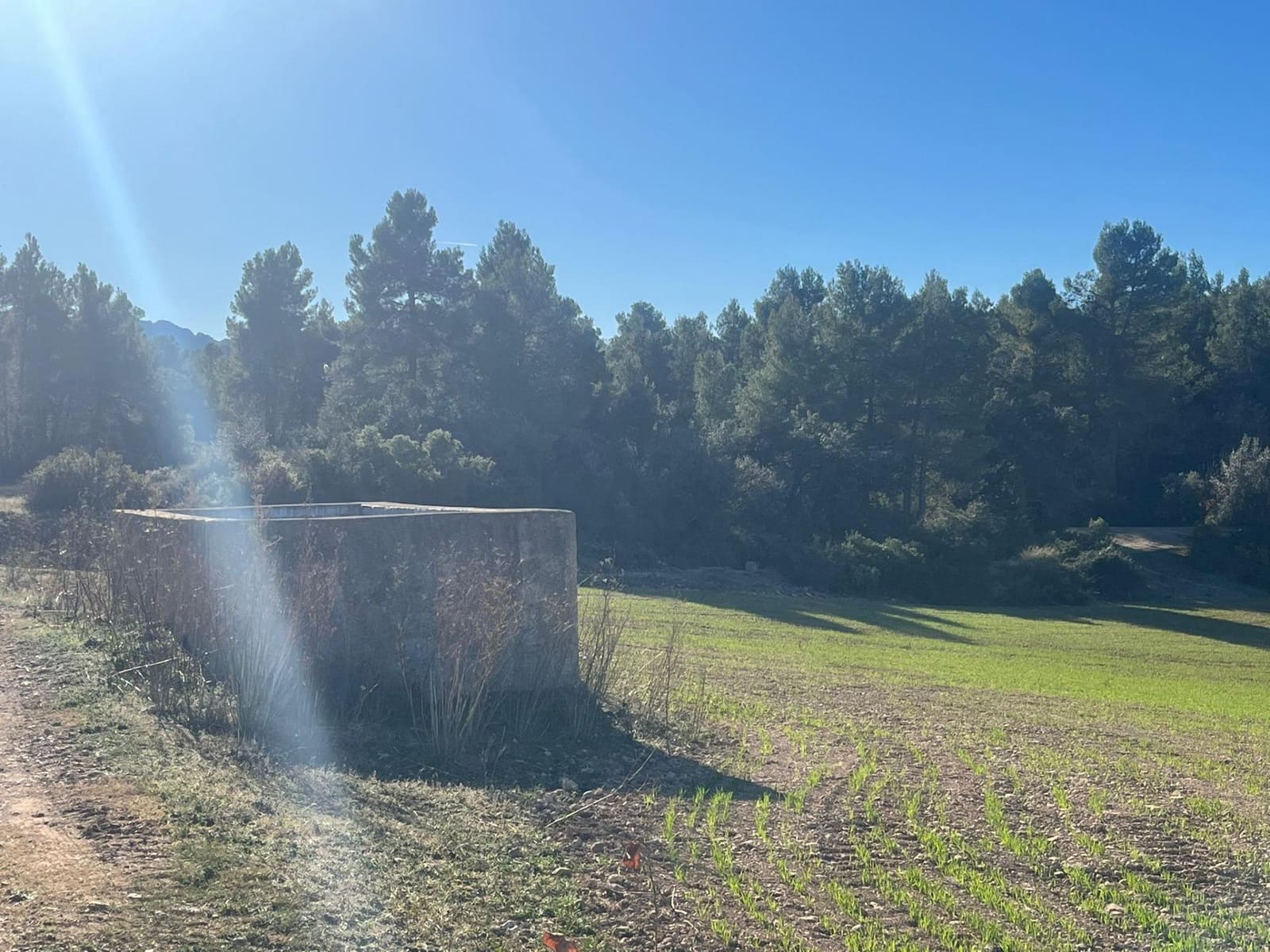 1 soveværelse Finca/Landehus til salg i Cretas - € 80.000 (Ref: 9150263)