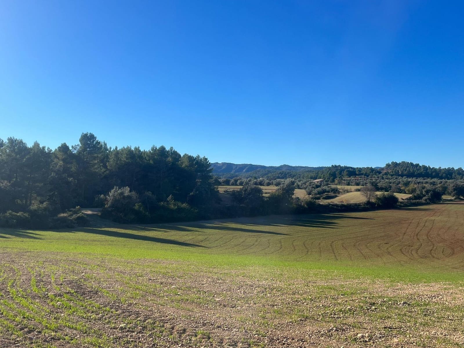 1 soveværelse Finca/Landehus til salg i Cretas - € 80.000 (Ref: 9150263)