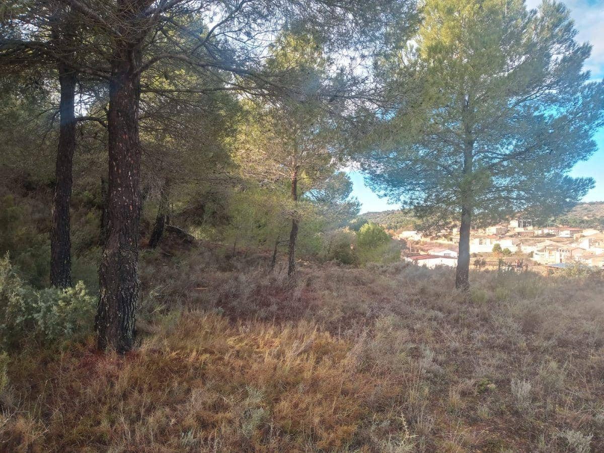 1 soveværelse Finca/Landehus til salg i Valdeltormo - € 10.000 (Ref: 9150264)