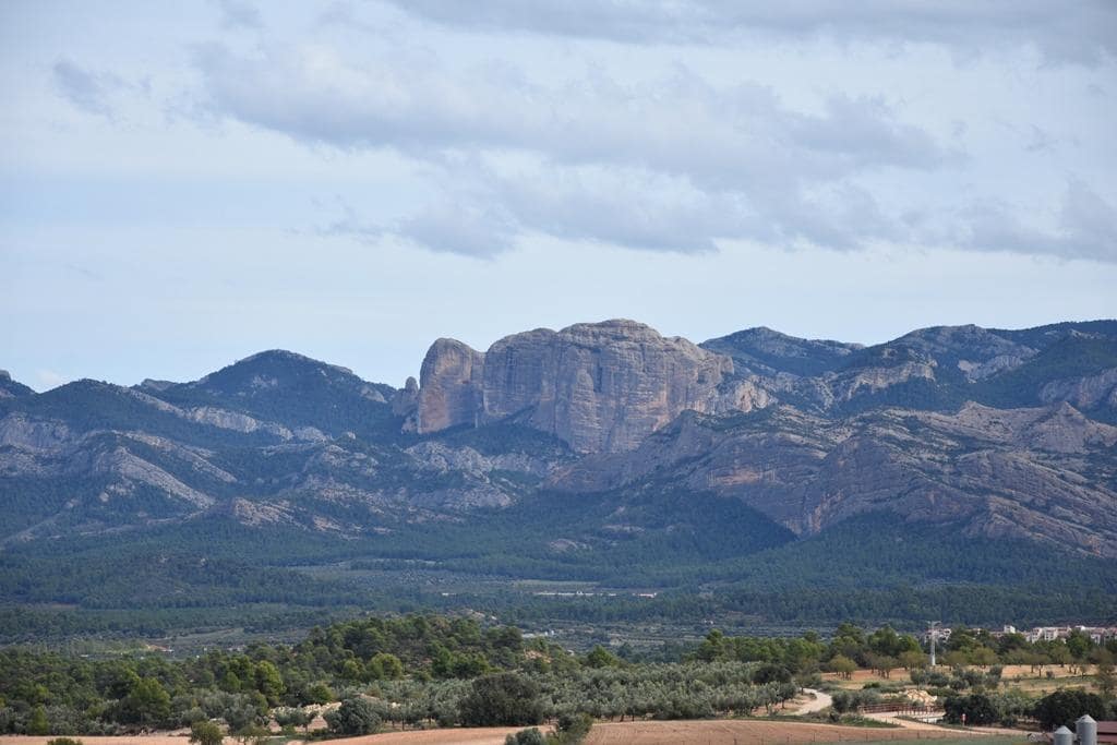 Finca/Landehus til salg i Cretas - € 65.000 (Ref: 9150266)