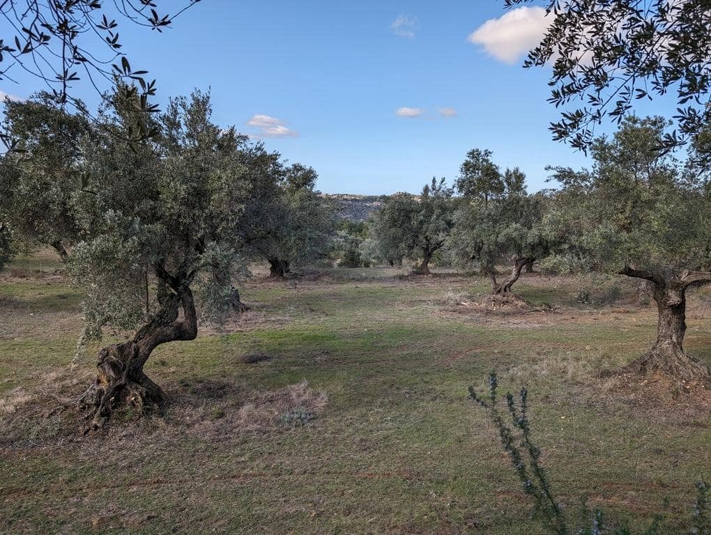 Finca/Landehus til salg i Arens de Lledo - € 17.500 (Ref: 9150267)