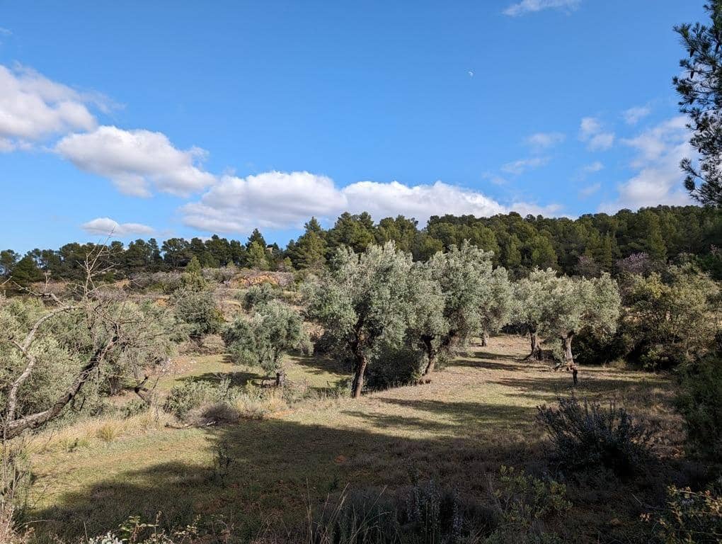 Finca/Landehus til salg i Arens de Lledo - € 17.500 (Ref: 9150267)