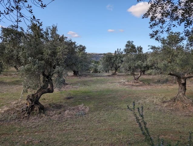 Finca/Landehus til salg i Arens de Lledó - € 17.500 (Ref: 9150267)
