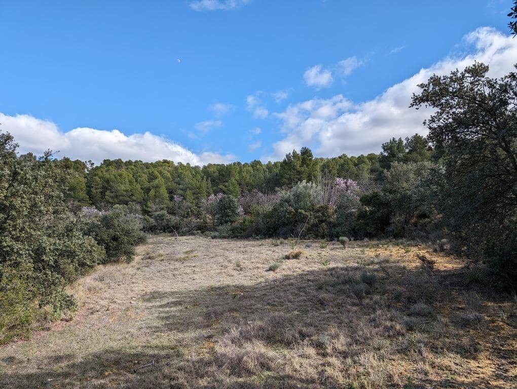 Finca/Landehus til salg i Arens de Lledo - € 17.500 (Ref: 9150267)