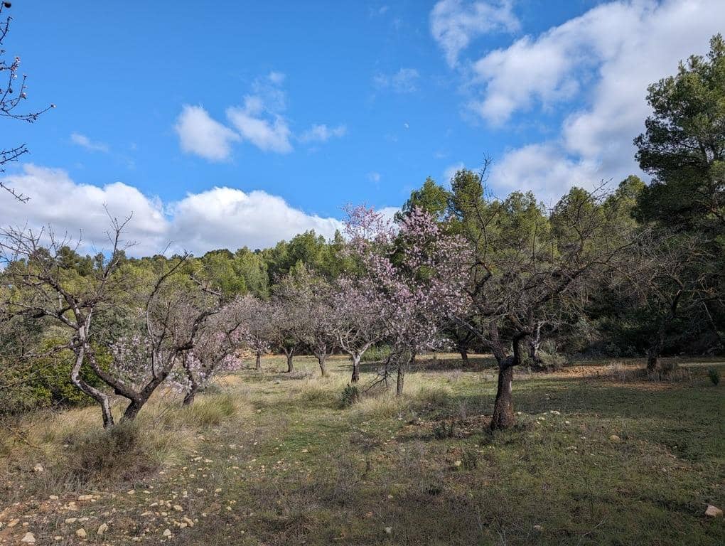 Finca/Landehus til salg i Arens de Lledo - € 17.500 (Ref: 9150267)