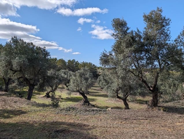 Finca/Landehus til salg i Arens de Lledó - € 17.500 (Ref: 9150267)
