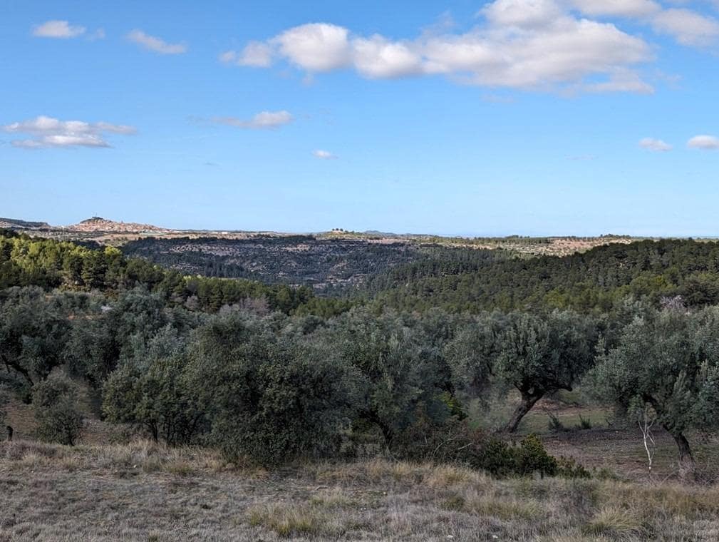 Finca/Landehus til salg i Arens de Lledo - € 17.500 (Ref: 9150267)