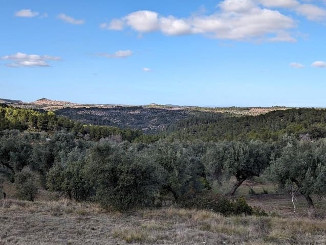 Finca/Landehus til salg i Arens de Lledó - € 17.500 (Ref: 9150267)
