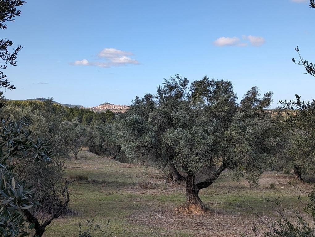 Finca/Landehus til salg i Arens de Lledo - € 17.500 (Ref: 9150267)