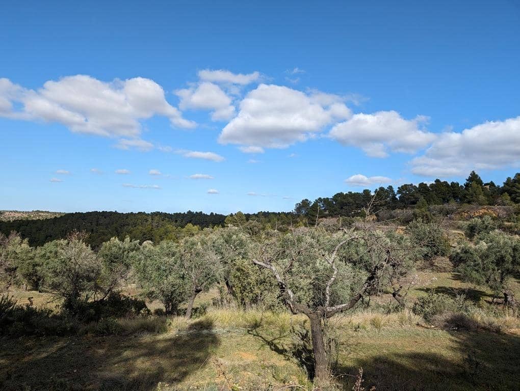 Finca/Landehus til salg i Arens de Lledo - € 17.500 (Ref: 9150267)