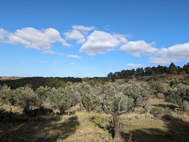 Finca/Landehus til salg i Arens de Lledó - € 17.500 (Ref: 9150267)