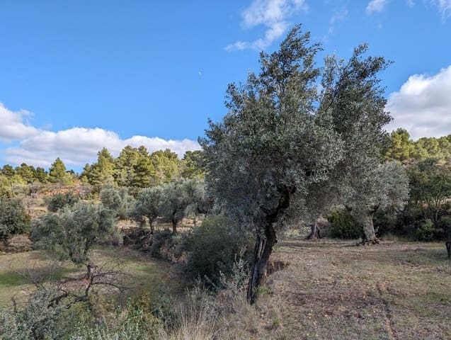 Finca/Landehus til salg i Arens de Lledó - € 17.500 (Ref: 9150267)