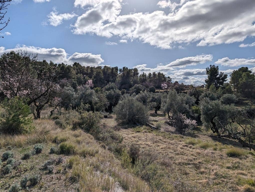 Finca/Landehus til salg i Arens de Lledo - € 17.500 (Ref: 9150267)