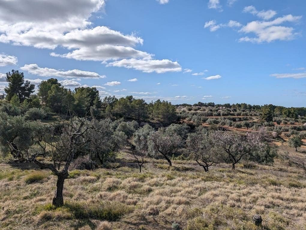 Finca/Landehus til salg i Arens de Lledo - € 17.500 (Ref: 9150267)