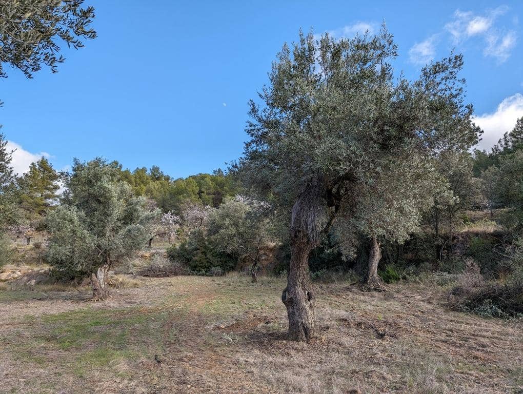 Finca/Landehus til salg i Arens de Lledo - € 17.500 (Ref: 9150267)
