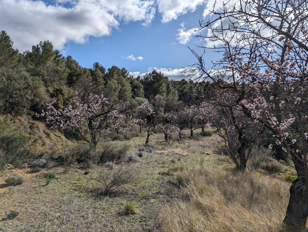 Finca/Landehus til salg i Arens de Lledo - € 17.500 (Ref: 9150267)