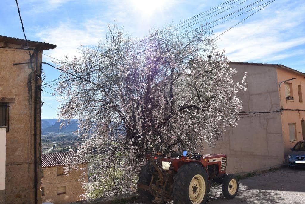 Bouwgrond te koop in Horta de Sant Joan - € 35.000 (Ref: 9150272)