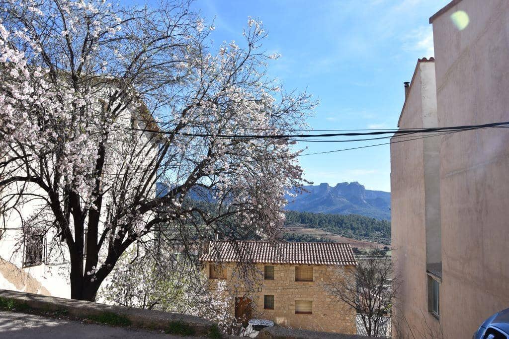 Bouwgrond te koop in Horta de Sant Joan - € 35.000 (Ref: 9150272)