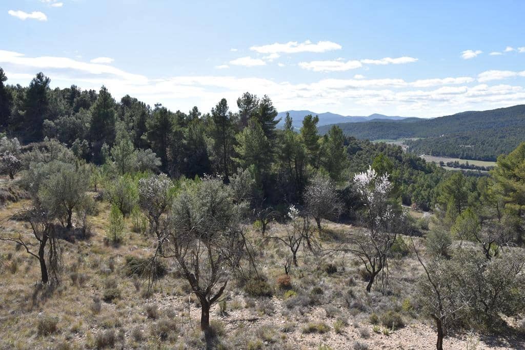 Finca/Hus på landet till salu i Fuentespalda - 9 000 € (Ref: 9150275)