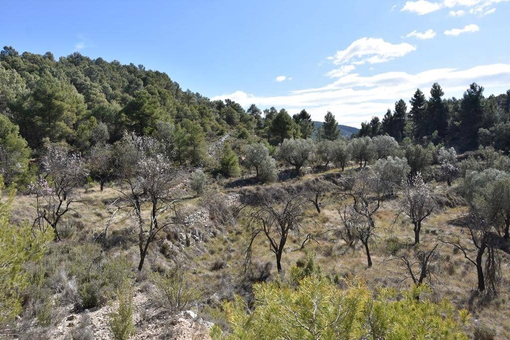 Finca/Hus på landet till salu i Fuentespalda - 9 000 € (Ref: 9150275)