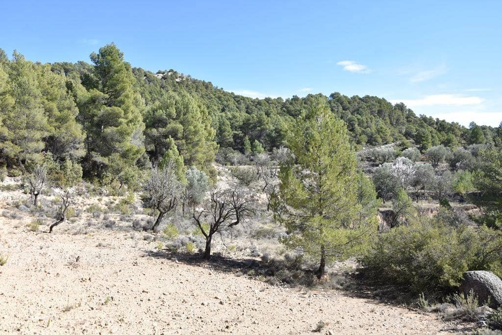 Finca/Hus på landet till salu i Fuentespalda - 9 000 € (Ref: 9150275)