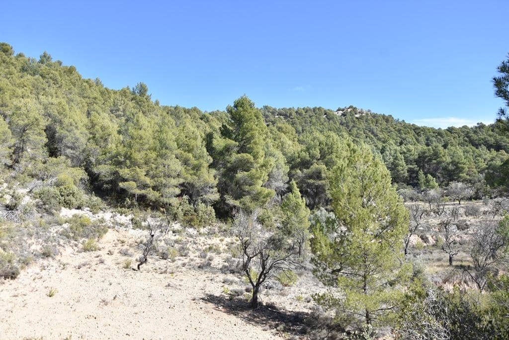 Finca/Hus på landet till salu i Fuentespalda - 9 000 € (Ref: 9150275)