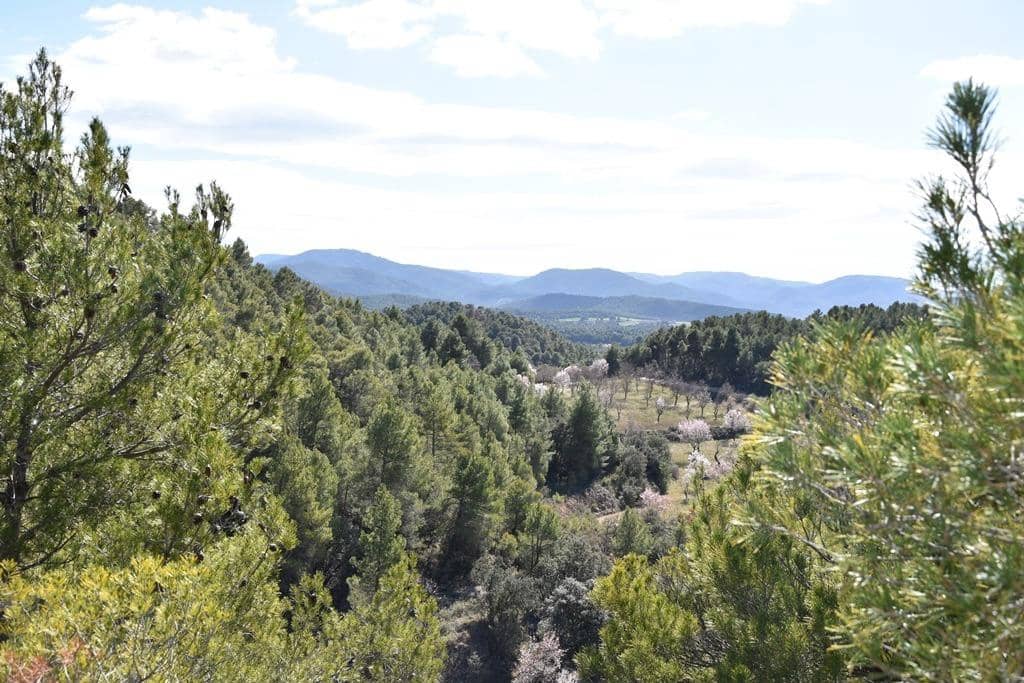 Finca/Hus på landet till salu i Fuentespalda - 9 000 € (Ref: 9150275)