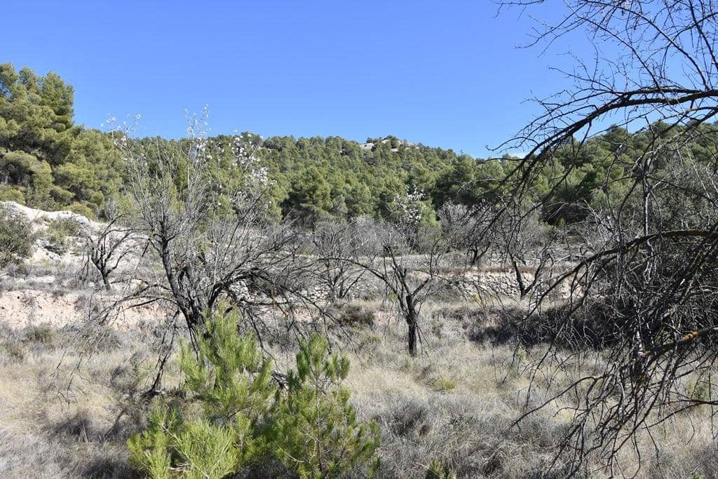 Finca/Hus på landet till salu i Fuentespalda - 9 000 € (Ref: 9150275)