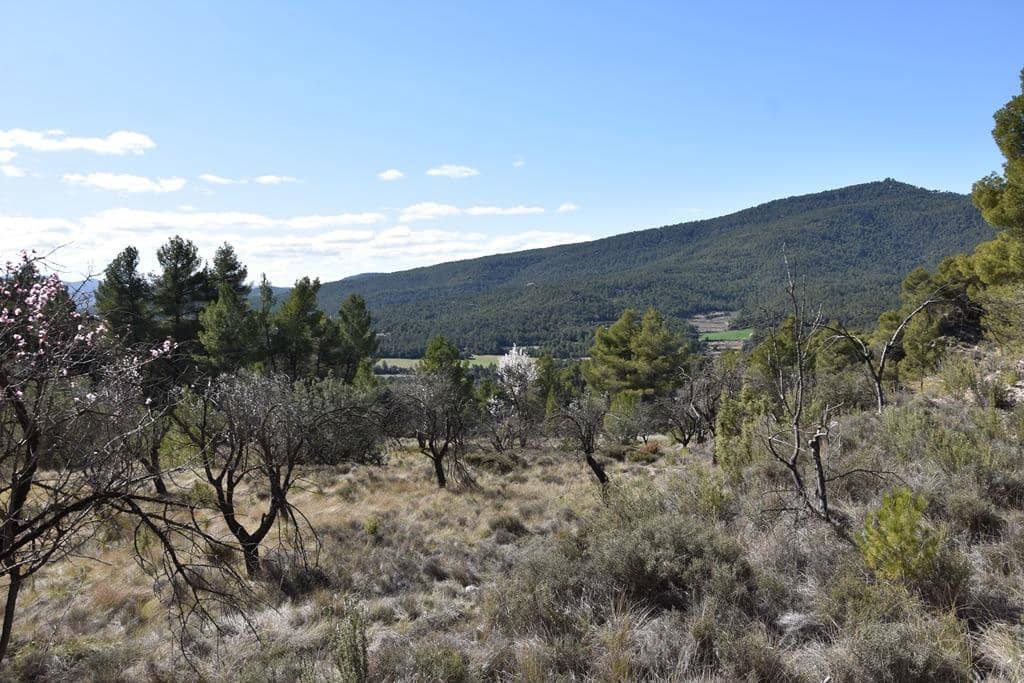 Finca/Hus på landet till salu i Fuentespalda - 9 000 € (Ref: 9150275)