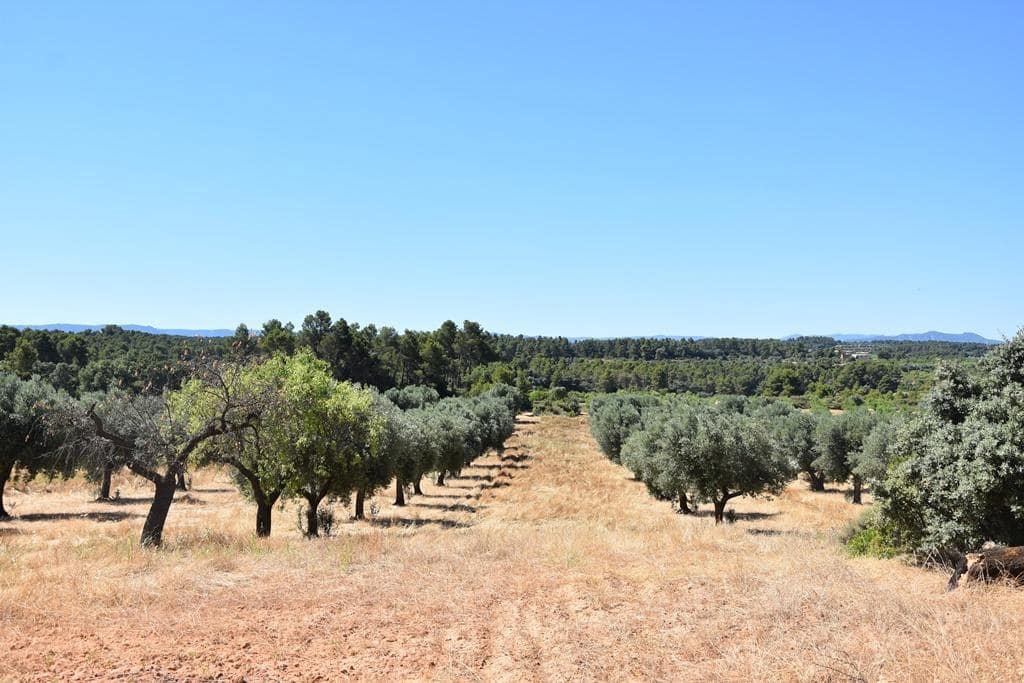 Finca/Herregård til salgs i Arens de Lledo - € 43 000 (Ref: 9150279)