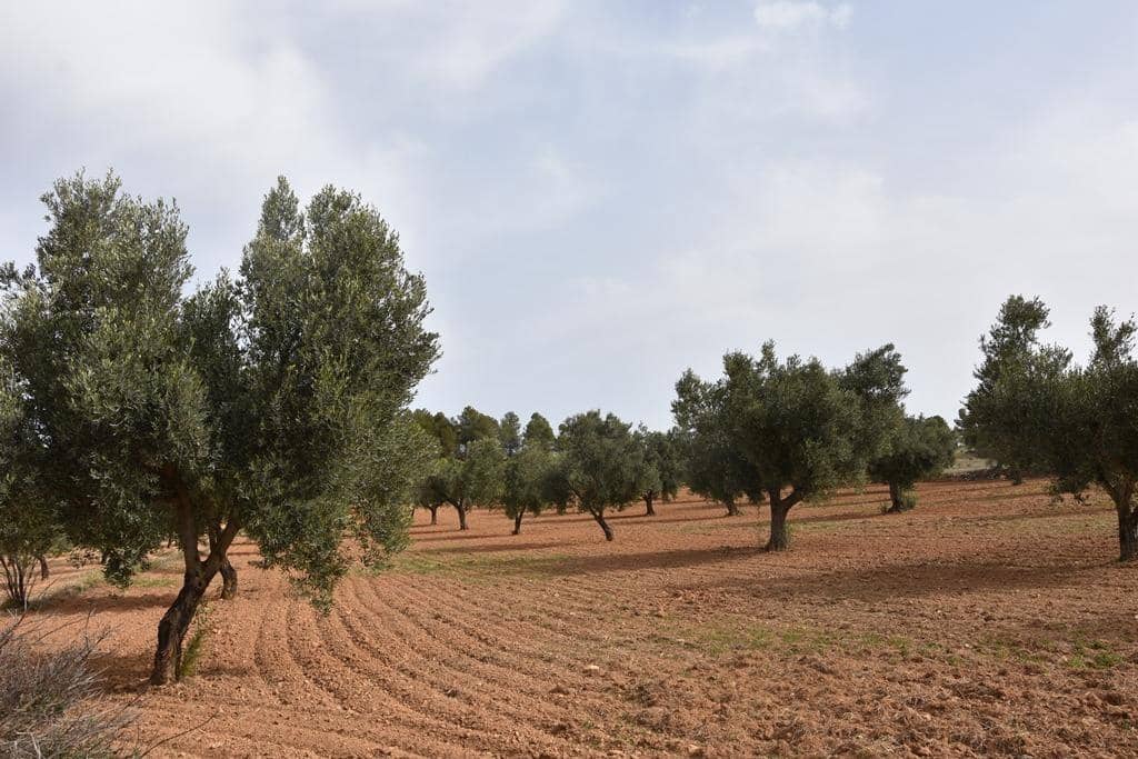 Finca/Herregård til salgs i Arens de Lledo - € 43 000 (Ref: 9150279)