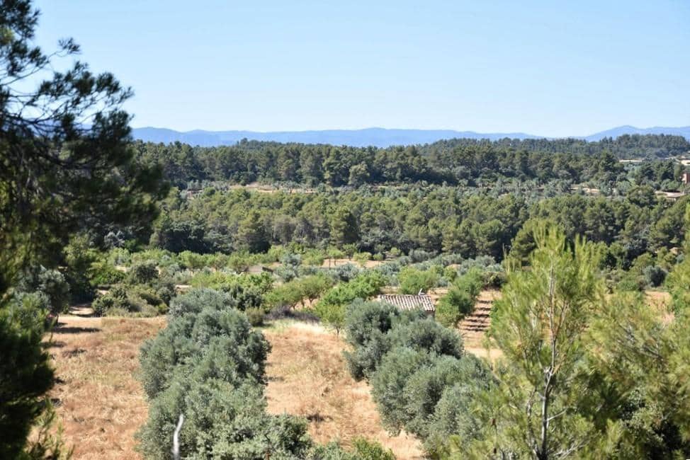 Finca/Herregård til salgs i Arens de Lledo - € 43 000 (Ref: 9150279)