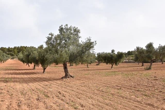 Finca/Landehus til salg i Arens de Lledó - € 43.000 (Ref: 9150279)