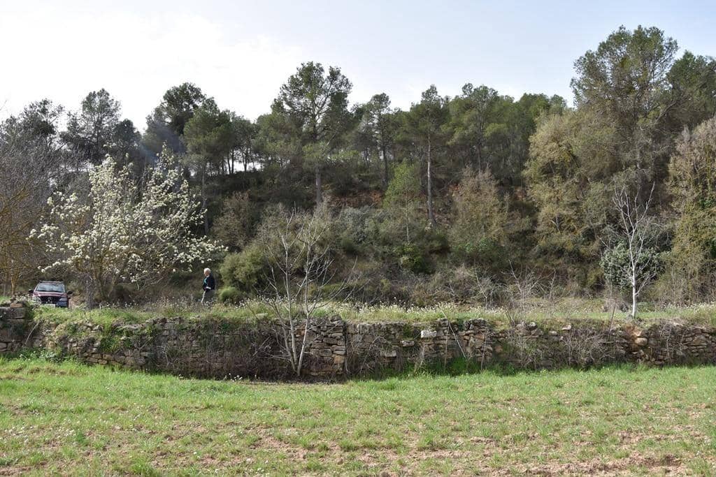 Finca/Landehus til salg i Arens de Lledo - € 21.000 (Ref: 9150282)