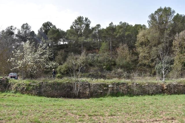 Finca/Landgut zu verkaufen in Arens de Lledó - 21.000 € (Ref: 9150282)