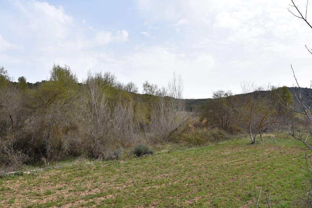 Finca/Landehus til salg i Arens de Lledo - € 21.000 (Ref: 9150282)