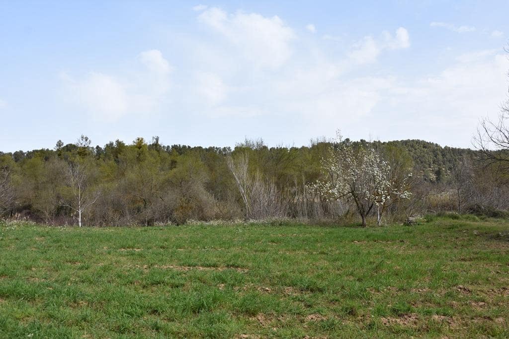 Finca/Landehus til salg i Arens de Lledo - € 21.000 (Ref: 9150282)