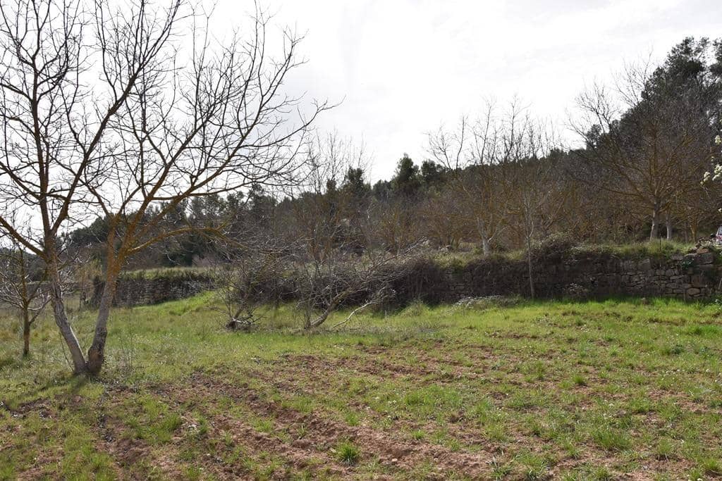 Finca/Landehus til salg i Arens de Lledo - € 21.000 (Ref: 9150282)