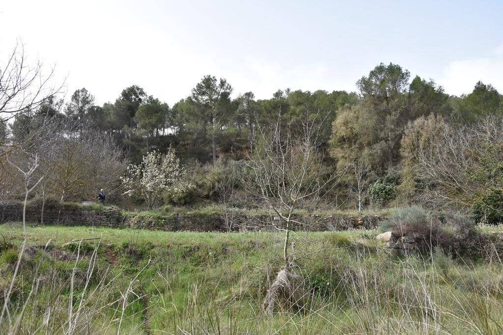 Finca/Landehus til salg i Arens de Lledo - € 21.000 (Ref: 9150282)