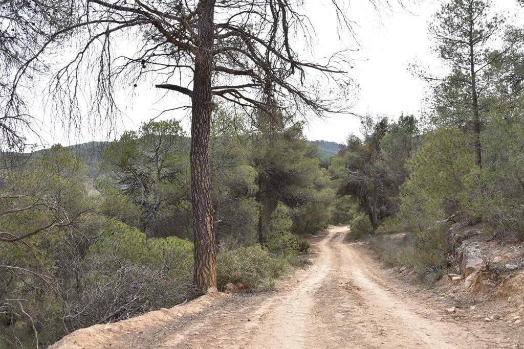 Finca/Landehus til salg i Arens de Lledo - € 21.000 (Ref: 9150282)