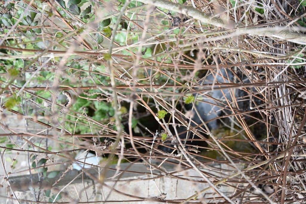 Finca/Landehus til salg i Arens de Lledo - € 21.000 (Ref: 9150282)