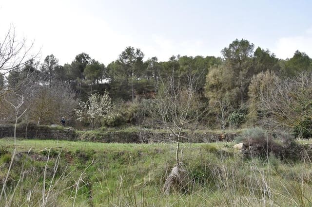 Finca/Landgut zu verkaufen in Arens de Lledó - 21.000 € (Ref: 9150282)