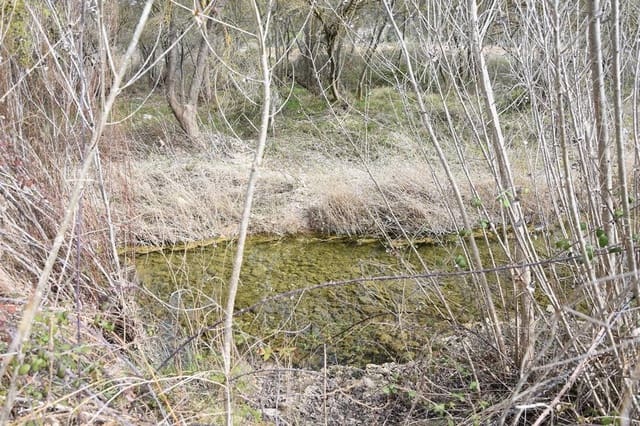 Finca/Landgut zu verkaufen in Arens de Lledó - 21.000 € (Ref: 9150282)