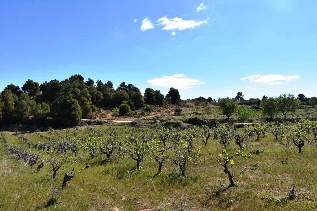 Finca/Landehus til salg i Valderrobres - € 35.000 (Ref: 9150287)