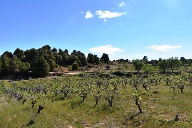 Finca/Landhuis te koop in Valderrobres - € 35.000 (Ref: 9150287)